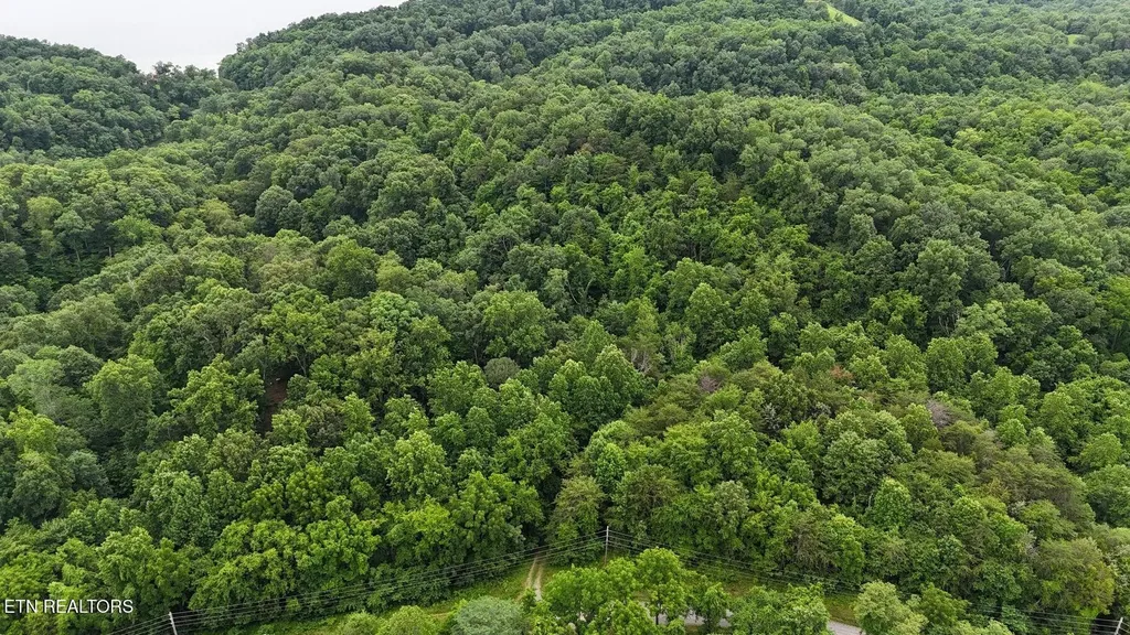 0 Fortunato Drive Baneberry TN 37890