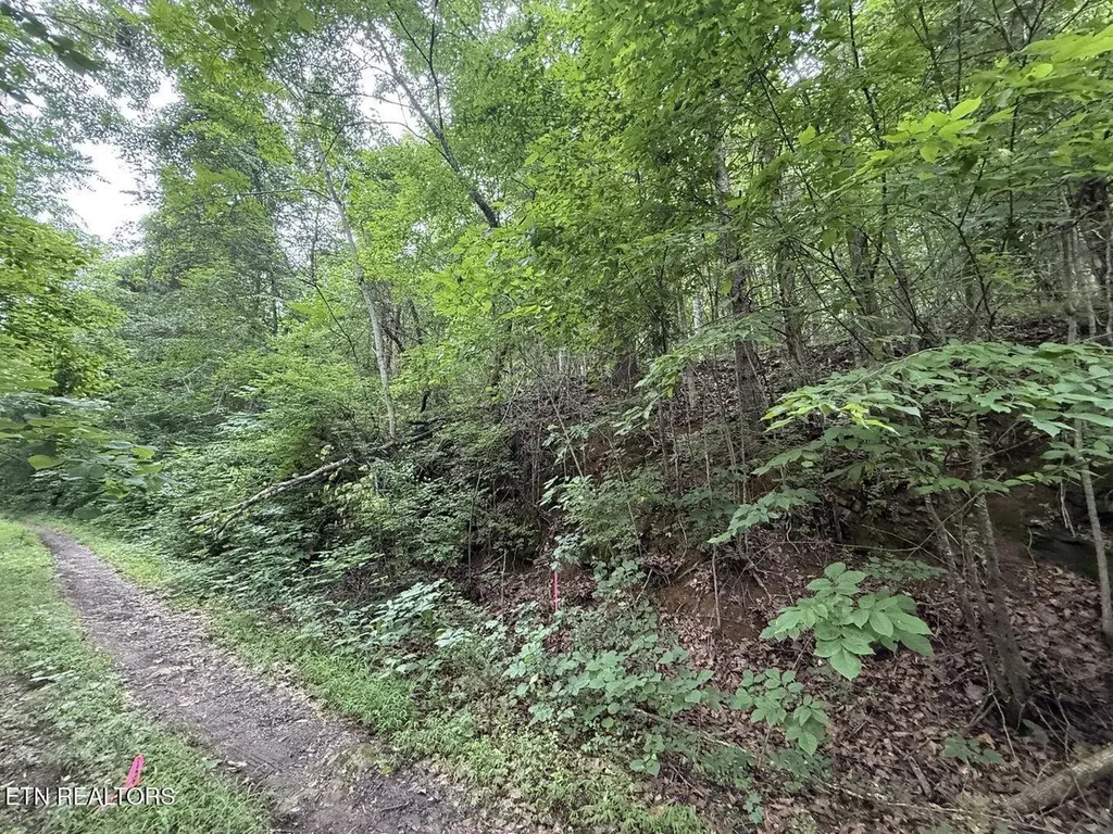 0 Fortunato Drive Baneberry TN 37890