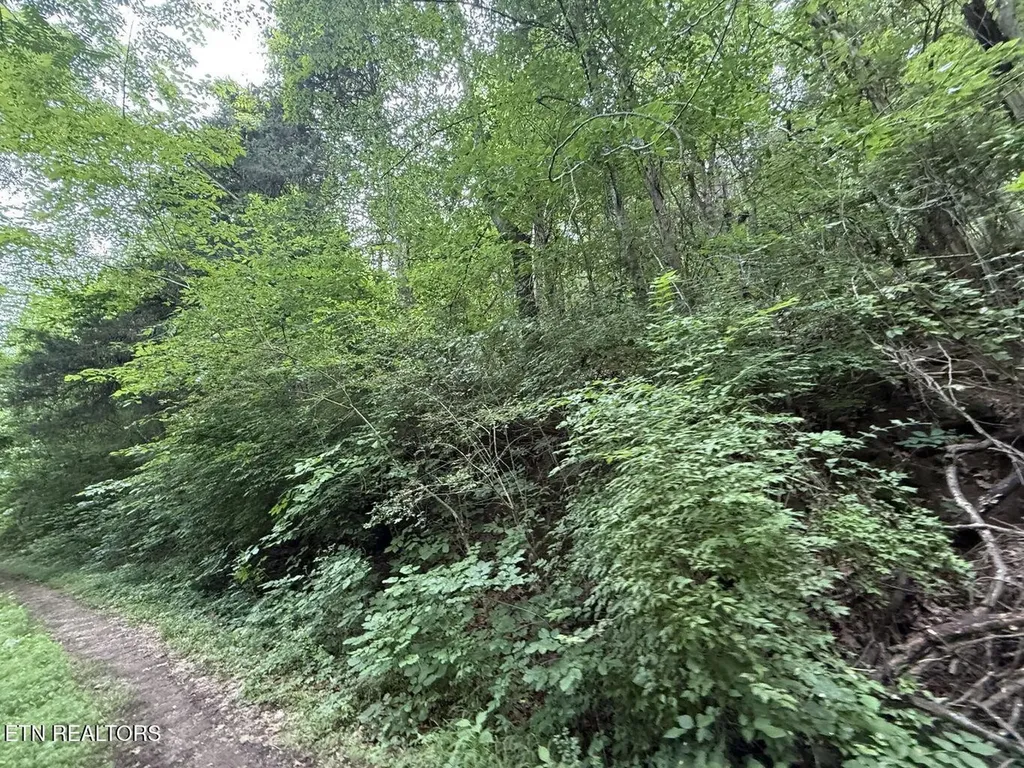 0 Fortunato Drive Baneberry TN 37890