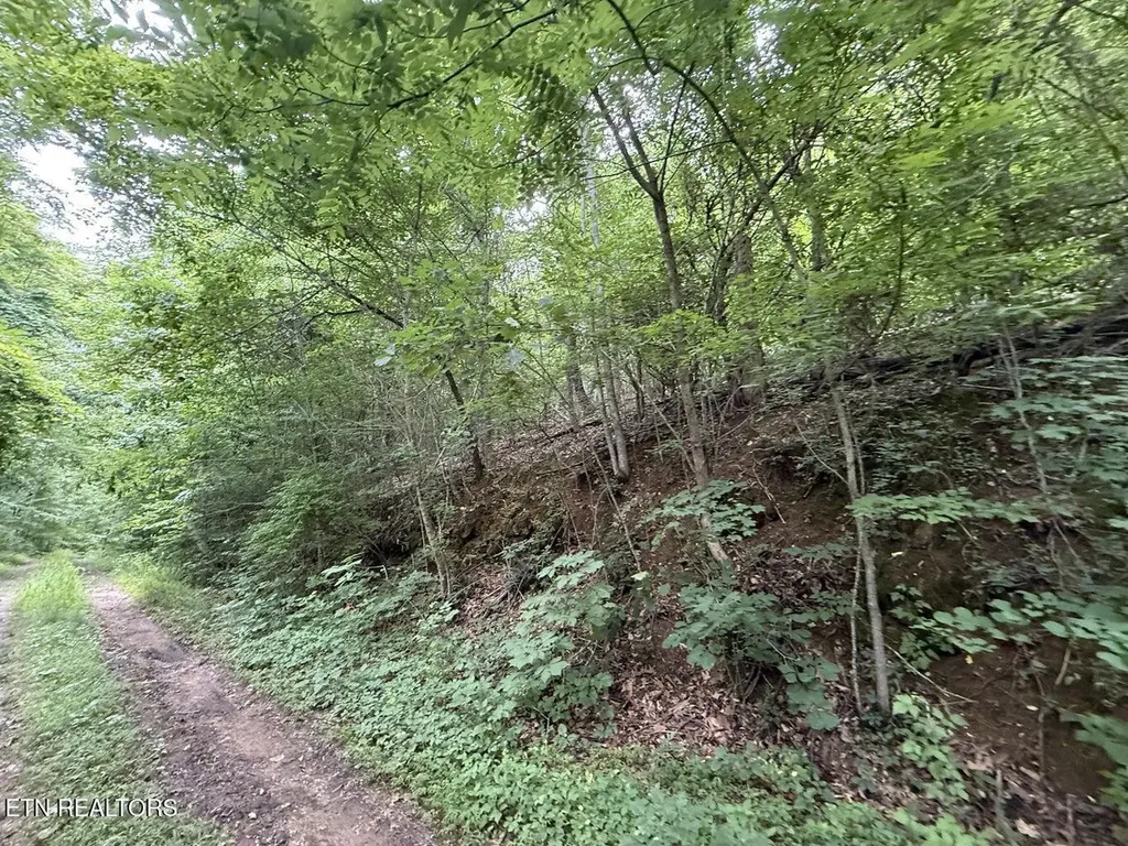 0 Fortunato Drive Baneberry TN 37890