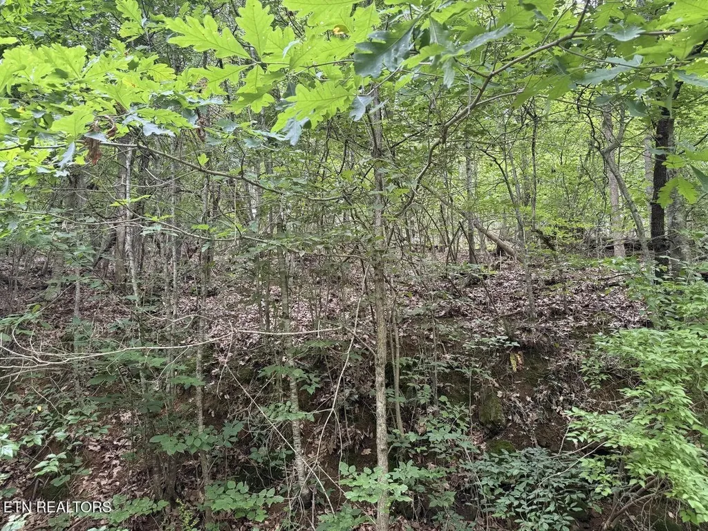 0 Fortunato Drive Baneberry TN 37890