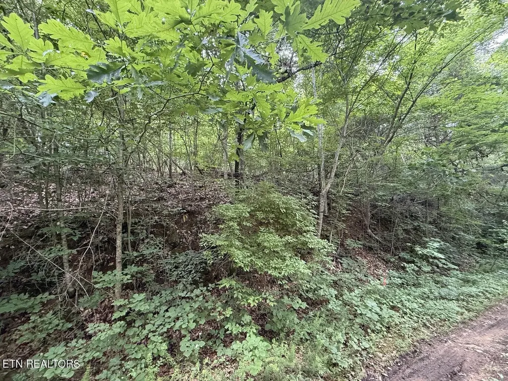 0 Fortunato Drive Baneberry TN 37890