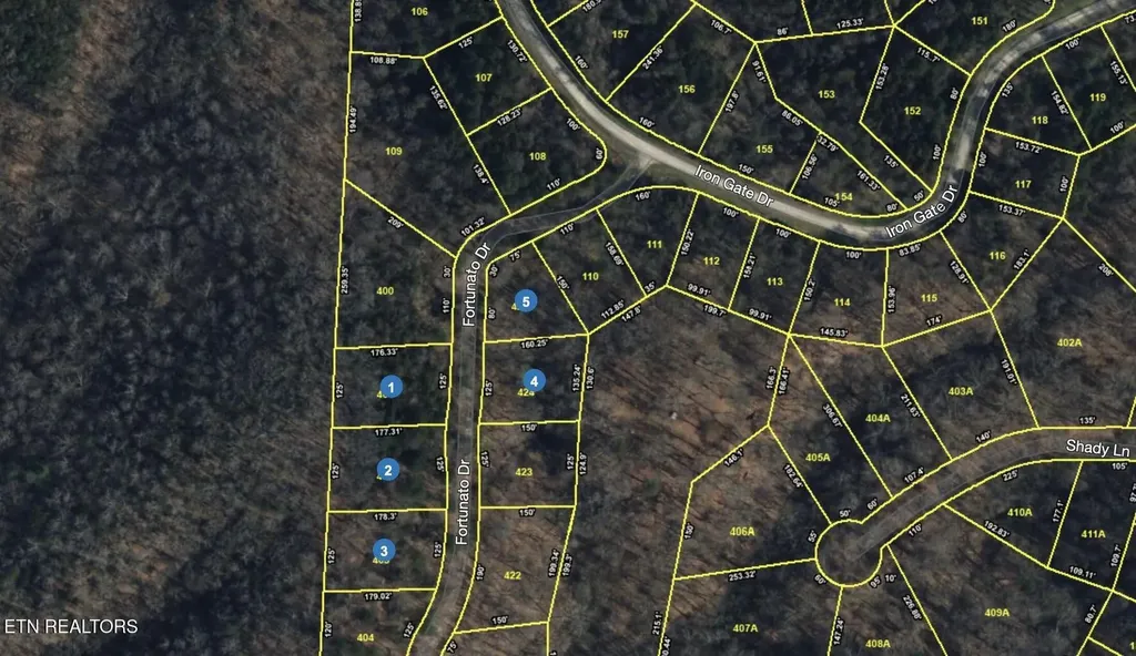 0 Fortunato Drive Baneberry TN 37890