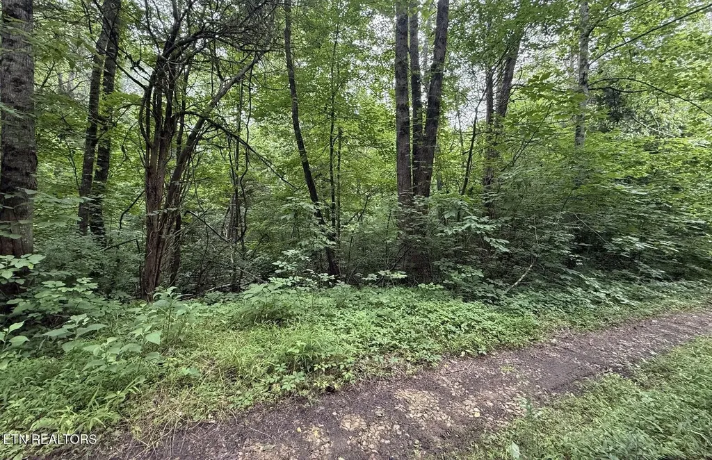 0 Fortunato Drive Baneberry TN 37890