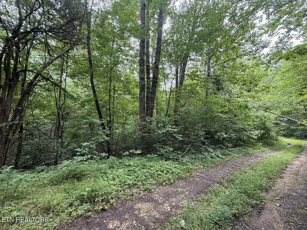 0 Fortunato Drive Baneberry TN 37890