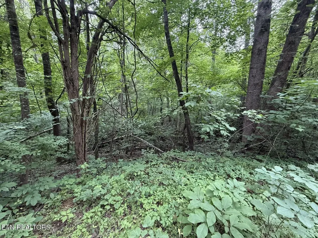 0 Fortunato Drive Baneberry TN 37890