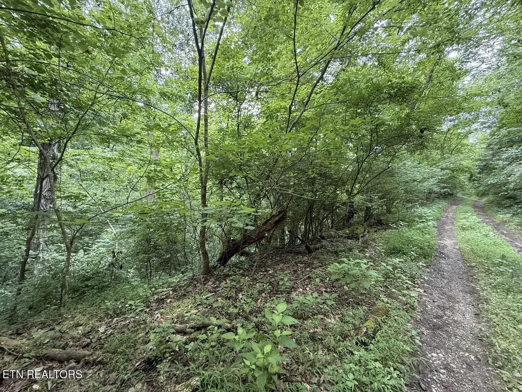 0 Fortunato Drive Baneberry TN 37890