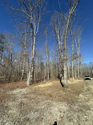 222 Sunset Bluff Way Monteagle TN 37356