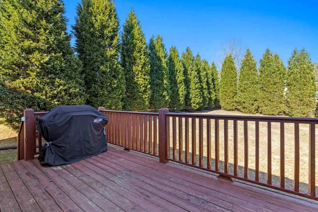 155 Dogwood Lane Spring City TN 37381