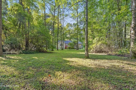 914 Olsen Avenue Signal Mountain TN 37377