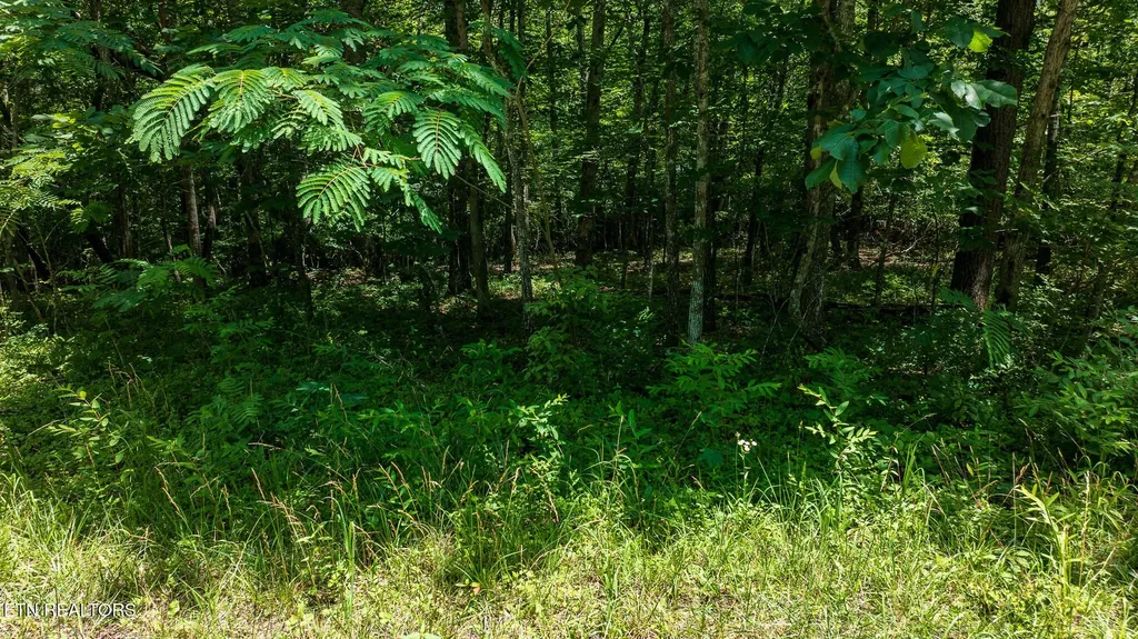 5011 Ostego Drive Crossville TN 38572