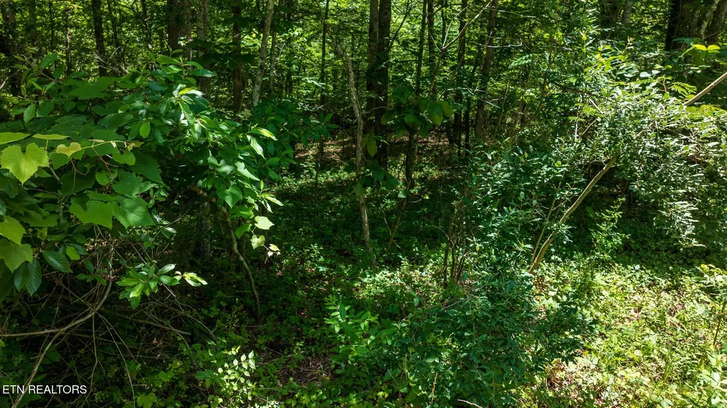 5011 Ostego Drive Crossville TN 38572