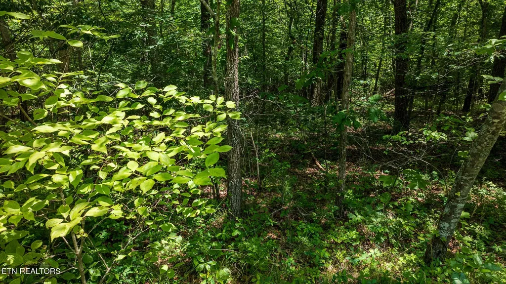 5011 Ostego Drive Crossville TN 38572