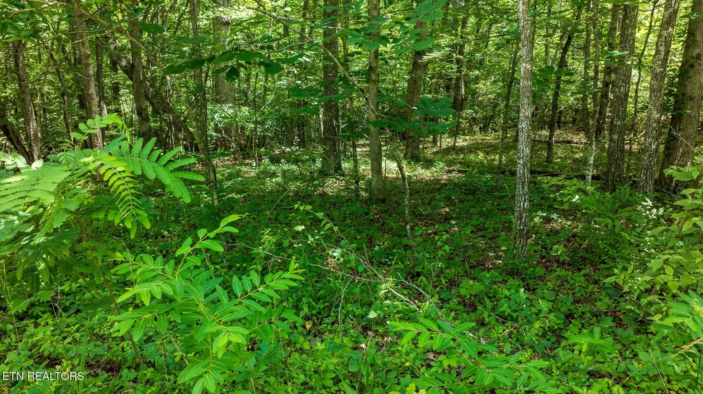 5011 Ostego Drive Crossville TN 38572