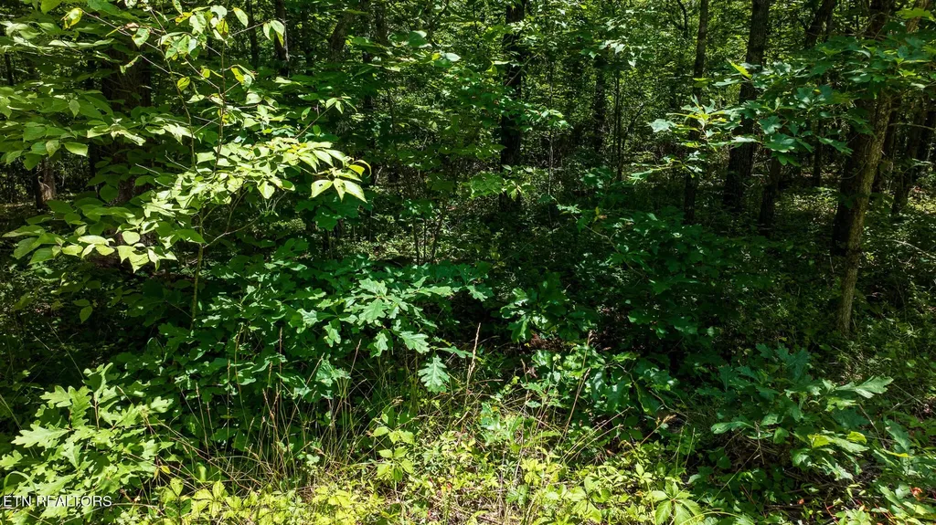 5011 Ostego Drive Crossville TN 38572