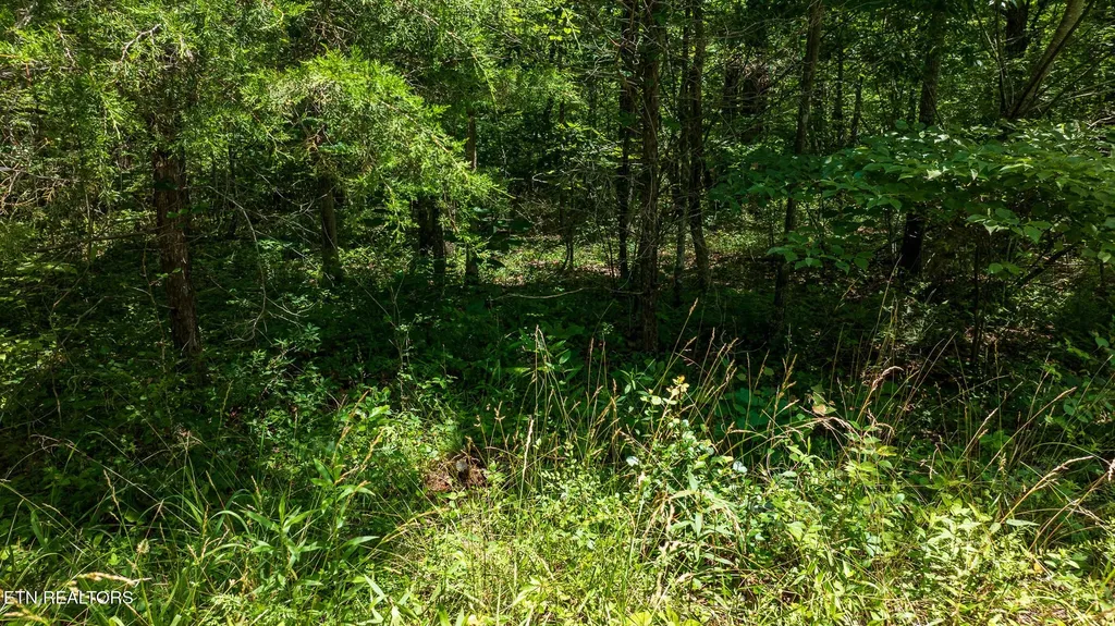 5011 Ostego Drive Crossville TN 38572