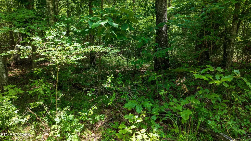 5011 Ostego Drive Crossville TN 38572