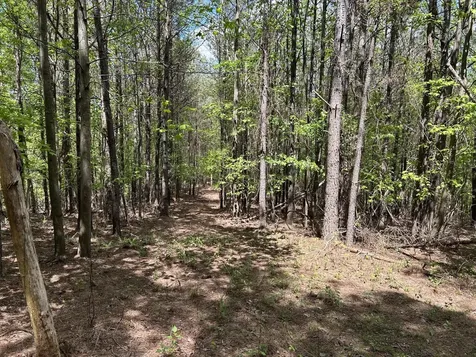 290 Bear Trace Drive Jasper TN 37347