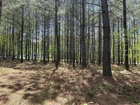 290 Bear Trace Drive Jasper TN 37347