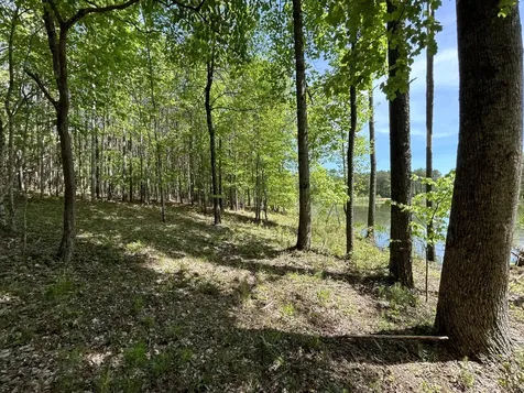 290 Bear Trace Drive Jasper TN 37347
