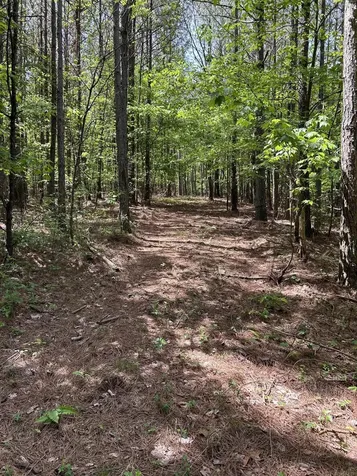 290 Bear Trace Drive Jasper TN 37347