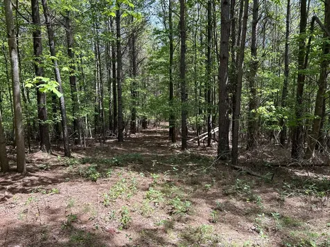290 Bear Trace Drive Jasper TN 37347