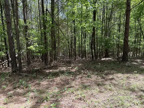 290 Bear Trace Drive Jasper TN 37347