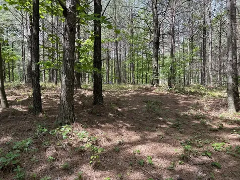 290 Bear Trace Drive Jasper TN 37347