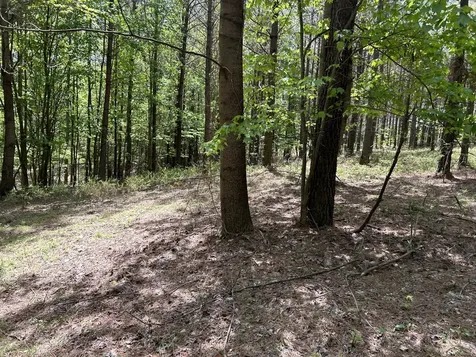 290 Bear Trace Drive Jasper TN 37347