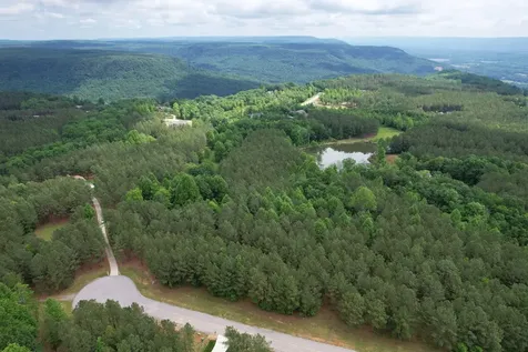 290 Bear Trace Drive Jasper TN 37347