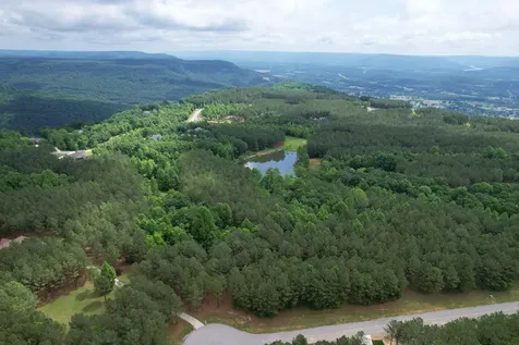 290 Bear Trace Drive Jasper TN 37347
