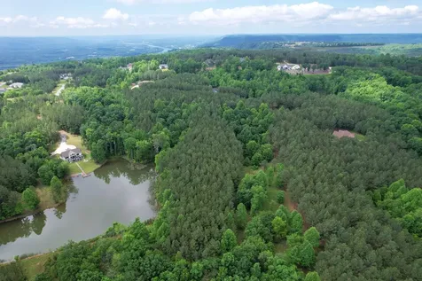 290 Bear Trace Drive Jasper TN 37347