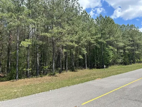 290 Bear Trace Drive Jasper TN 37347