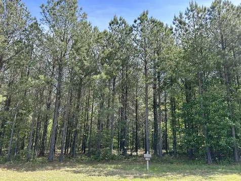 290 Bear Trace Drive Jasper TN 37347