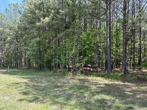 290 Bear Trace Drive Jasper TN 37347