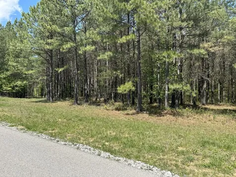 290 Bear Trace Drive Jasper TN 37347