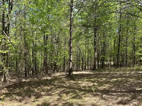 290 Bear Trace Drive Jasper TN 37347