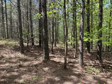 290 Bear Trace Drive Jasper TN 37347