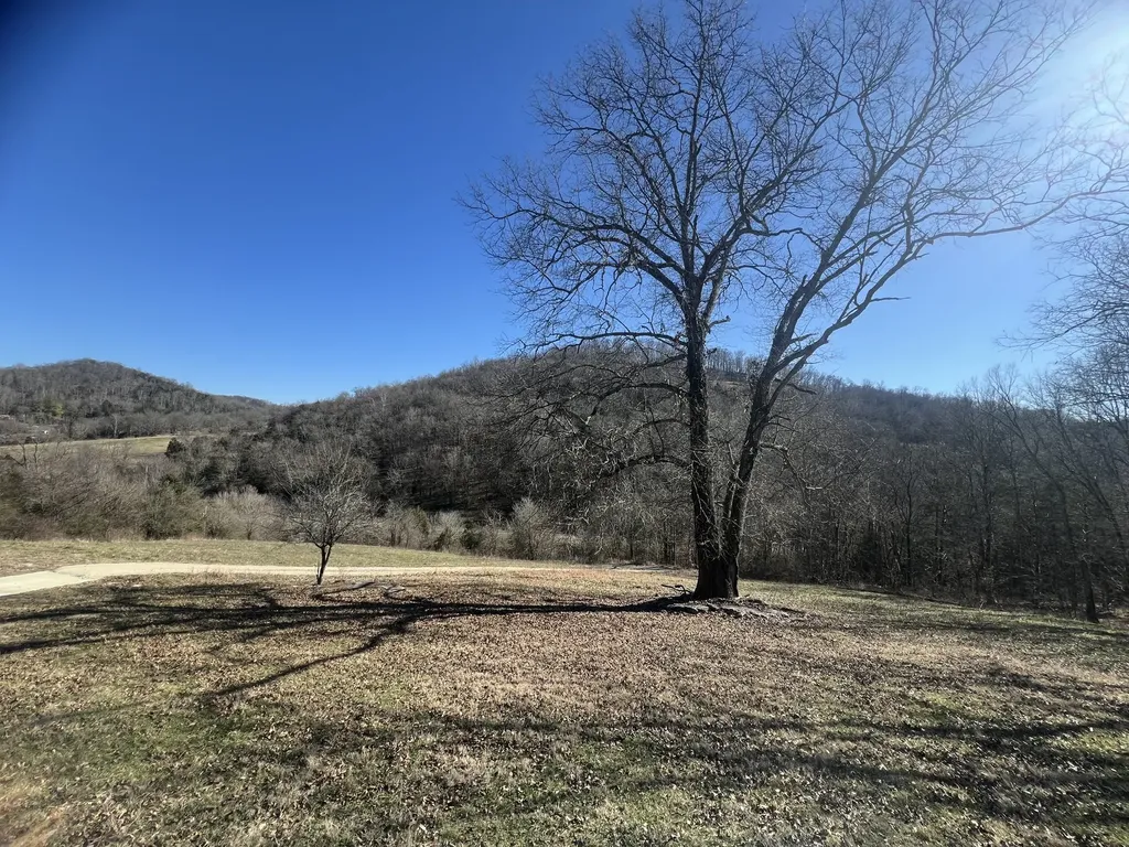 697 Club Springs Road Buffalo Valley TN 38548