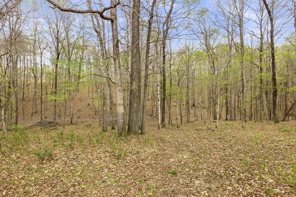 1300 Ridge Road Dickson TN 37055