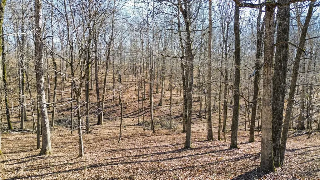 1300 Ridge Road Dickson TN 37055