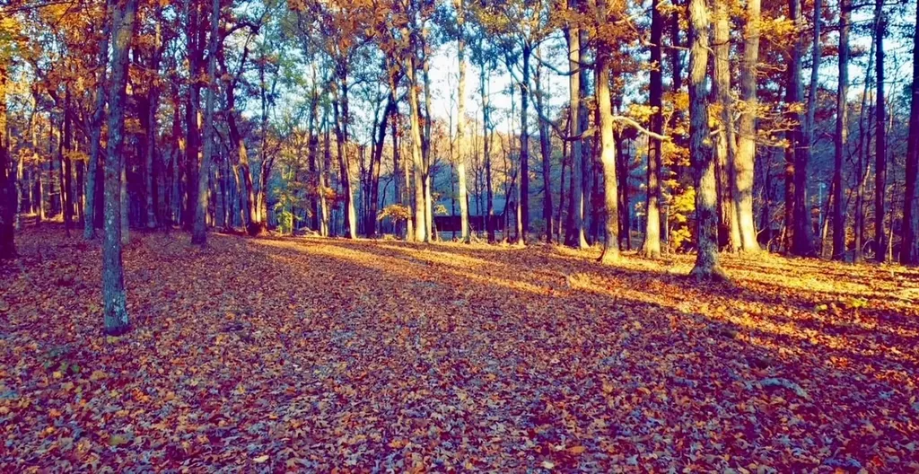 1300 Ridge Road Dickson TN 37055