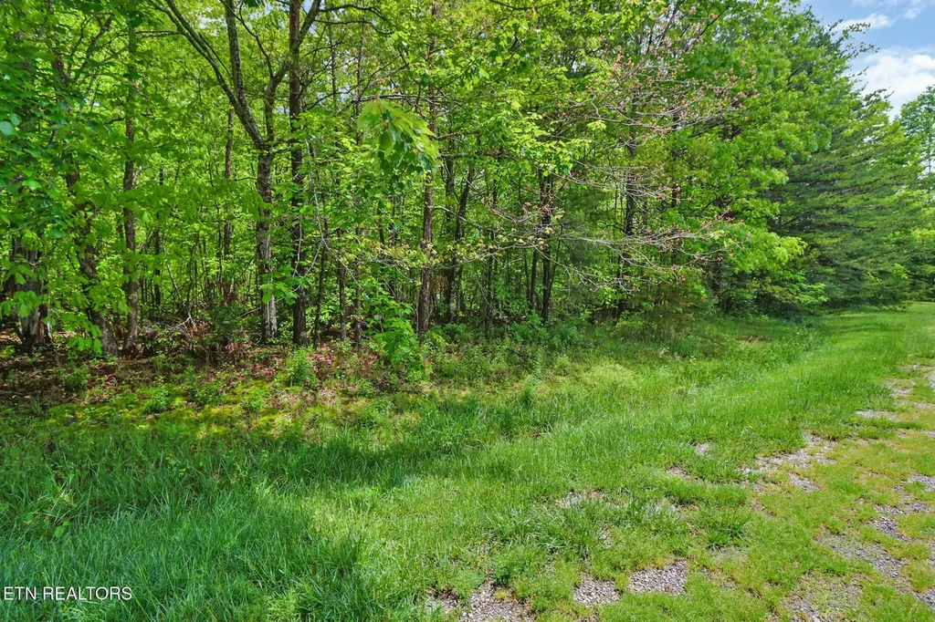 0 Emerald Place Lot 6 Monterey TN 38574