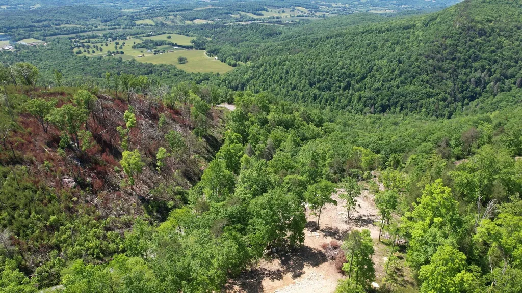 104 Sunrise Trail Pikeville TN 37367