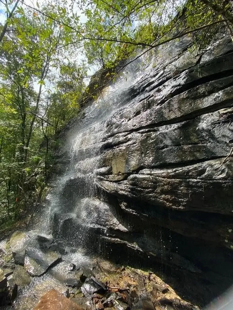 104 Sunrise Trail Pikeville TN 37367