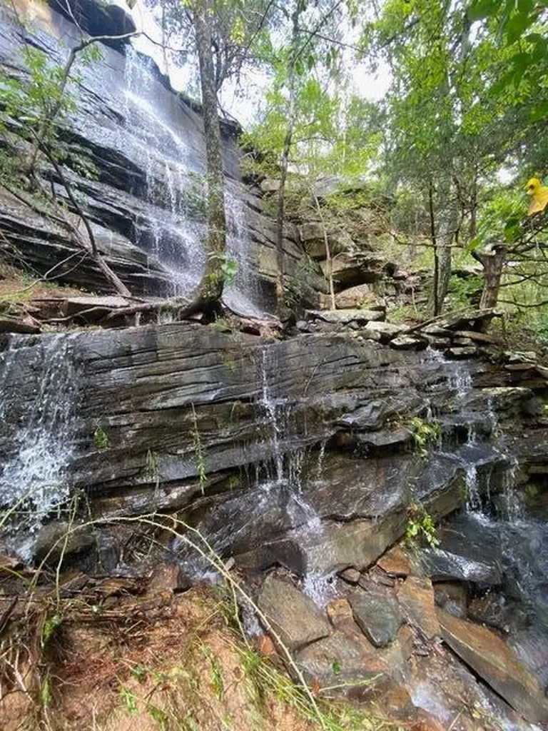 104 Sunrise Trail Pikeville TN 37367