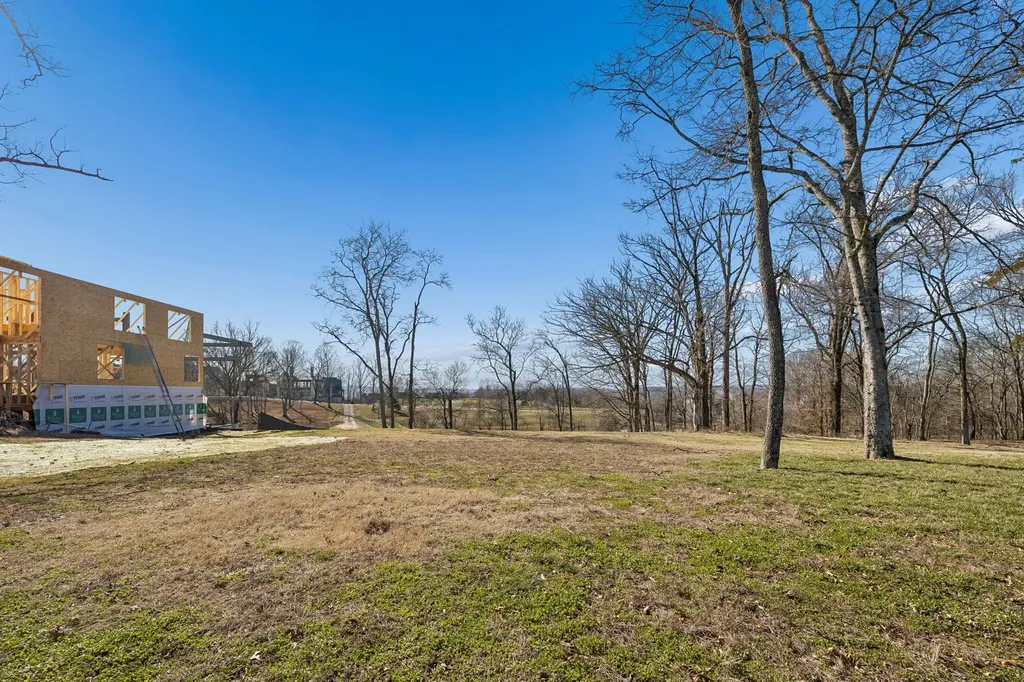 8217 Jolene Drive College Grove TN 37046