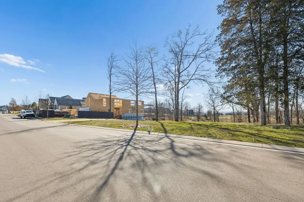 8217 Jolene Drive College Grove TN 37046