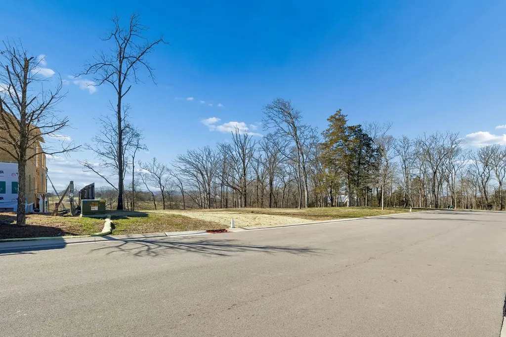 8217 Jolene Drive College Grove TN 37046