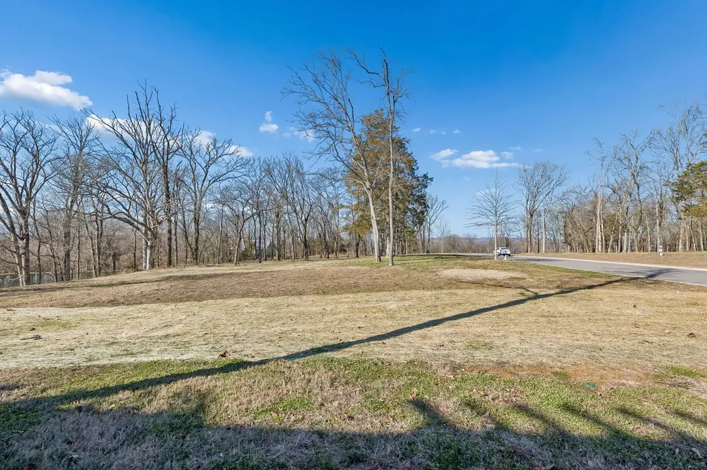 8217 Jolene Drive College Grove TN 37046